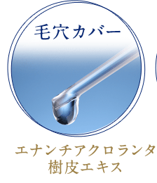 [毛穴カバー]エナンチアクロランタ樹皮エキス