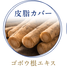 [皮脂カバー]ゴボウ根エキス
